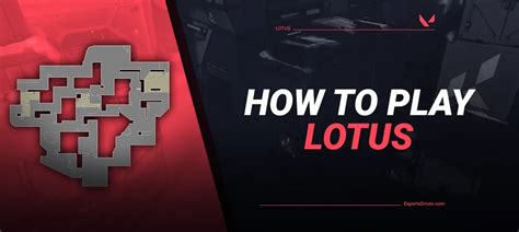 how to play lotus365|Beginner’s Guide: How to Start Playing on Lotus365.